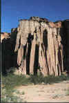 la_catedral.jpg (10099 bytes)